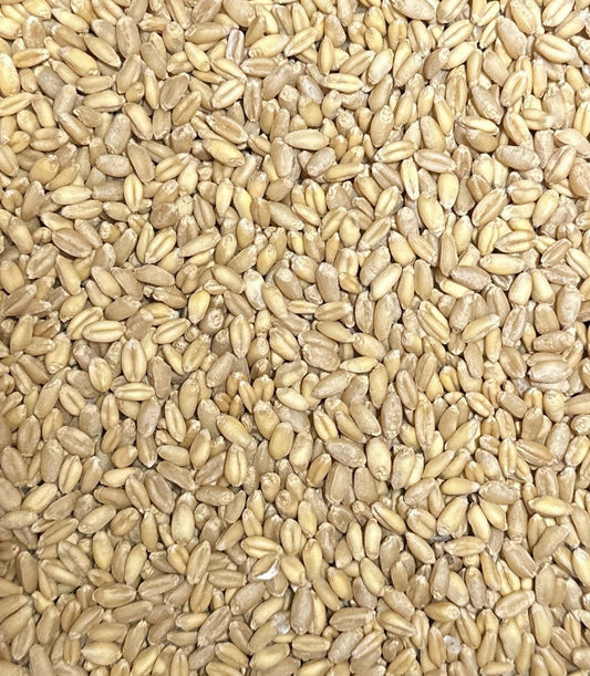 Mockmills are here at last! We are ready to ship so you can start milling your own grain!