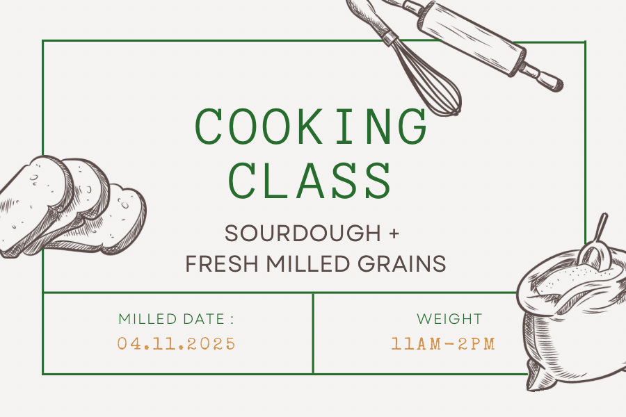 April 11 Sourdough + Fresh Milled Grains Class (with Rhonda Smith) - Lookout Valley location